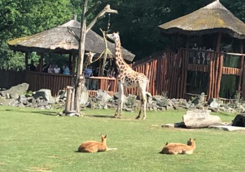 ZOO Ostrava